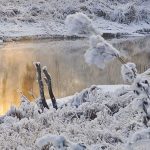 Pond Heaters for cold weather conditions