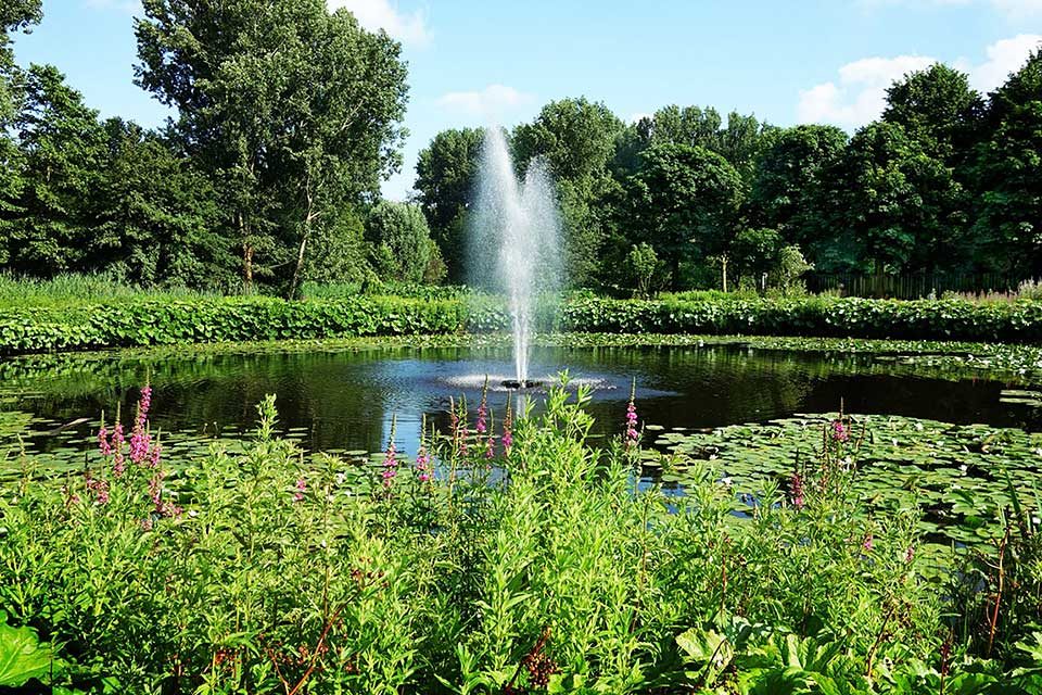 Benefits of Pond Fountains