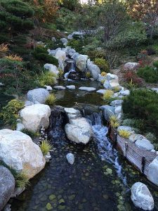 garden stream with rocks and terraces